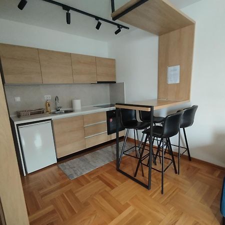 Vrnjačka BanjaCvetkovic Lux Аpartmani & Free Garazaアパートメント 部屋 写真