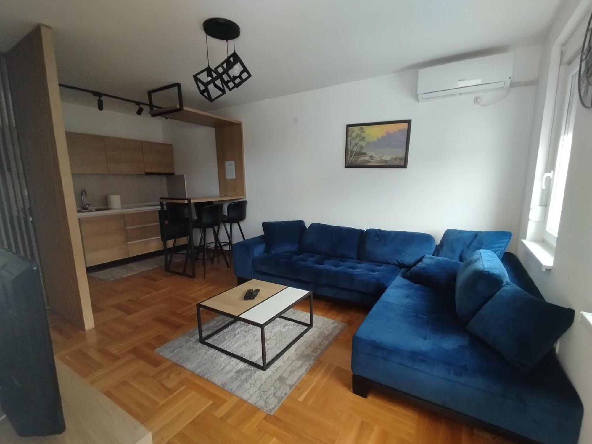 Vrnjačka BanjaCvetkovic Lux Аpartmani & Free Garazaアパートメント 部屋 写真